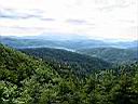 IMG_1029.JPG