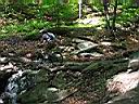 IMG_1046.JPG