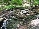IMG_1047.JPG