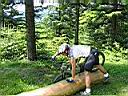 IMG_1076.JPG