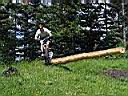 IMG_1084.JPG