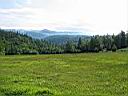 IMG_1100.JPG