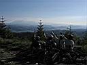 IMG_1113.JPG